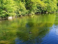 Park Maksimir, jezero B